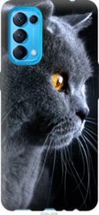 Чехол на Oppo Find X3 Lite Красивый кот "3038u-2299-7105"