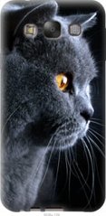 Чехол на Samsung Galaxy E7 E700H Красивый кот "3038u-139-7105"