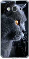 Чехол на Samsung Galaxy J3 Pro Красивый кот "3038u-840-7105"