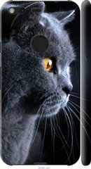 Чехол на Google Pixel XL Красивый кот "3038c-401-7105"