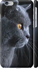 Чехол на Apple iPhone 6s Красивый кот "3038c-90-7105"