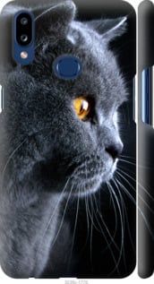 Чехол на Samsung Galaxy A10s A107F Красивый кот "3038c-1776-7105"