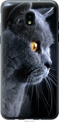 Чехол на Samsung Galaxy J3 2018 Красивый кот "3038u-1501-7105"