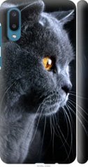 Чехол на Samsung Galaxy A02 A022G Красивый кот "3038c-2260-7105"