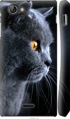 Чехол на Sony Xperia J ST26i Красивый кот "3038u-779-7105"