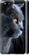 Чехол на Google Pixel 2 Красивый кот "3038c-1075-7105"
