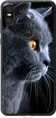 Чехол на Motorola One Красивый кот "3038u-1589-7105"