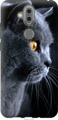 Чехол на Nokia 7.1 Plus Красивый кот "3038u-1606-7105"