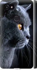 Чехол на Google PixeL 2 XL Красивый кот "3038c-1643-7105"