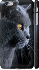 Чехол на Apple iPhone 6s Plus Красивый кот "3038c-91-7105"
