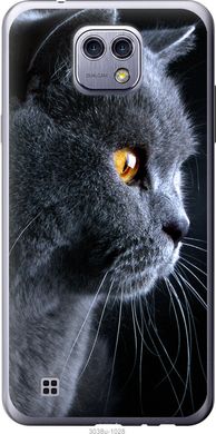 Чехол на LG X Cam K580 Красивый кот "3038u-1028-7105"