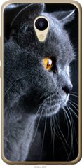 Чехол на Meizu M5 Красивый кот "3038u-420-7105"