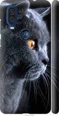 Чехол на Motorola One Vision Красивый кот "3038c-1782-7105"