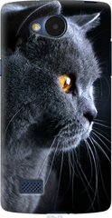 Чехол на LG Joy H220 Красивый кот "3038u-376-7105"