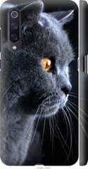 Чехол на Xiaomi Mi9 Красивый кот "3038c-1648-7105"