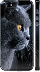 Чехол на iPhone 5s Красивый кот "3038c-21-7105"
