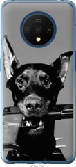 Чехол на OnePlus 7T Доберман "2745u-1809-7105"