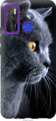 Чехол на Tecno Camon 15 Красивый кот "3038u-2405-7105"