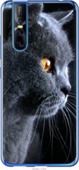 Чехол на Vivo V15 pro Красивый кот "3038u-1763-7105"