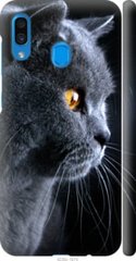 Чехол на Samsung Galaxy A20 2019 A205F Красивый кот "3038c-1761-7105"