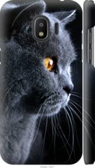 Чехол на Samsung Galaxy J2 2018 Красивый кот "3038c-1351-7105"