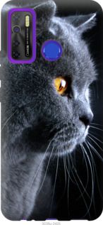 Чехол на Tecno Camon 15 Красивый кот "3038u-2405-7105"