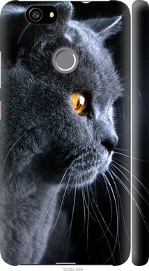 Чехол на Huawei Nova Красивый кот "3038c-439-7105"