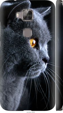 Чехол на Huawei G8 Красивый кот "3038c-493-7105"