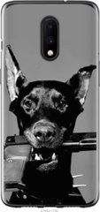 Чехол на OnePlus 7 Доберман "2745u-1740-7105"