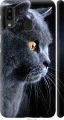 Чехол на Galaxy A20e A202F Красивый кот "3038c-1709-7105"