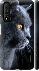 Чехол на Huawei Honor 20 Красивый кот "3038c-1697-7105"
