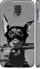Чехол на Galaxy S5 g900h Доберман "2745c-24-7105"