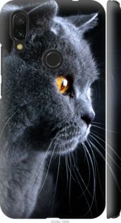 Чехол на Xiaomi Redmi 7 Красивый кот "3038c-1669-7105"