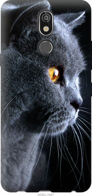 Чехол на LG K40 Красивый кот "3038u-1681-7105"