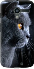 Чехол на Motorola Moto X Красивый кот "3038u-358-7105"