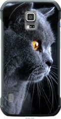Чехол на Samsung Galaxy S5 Active G870 Красивый кот "3038u-364-7105"