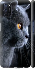 Чехол на Oppo A72 Красивый кот "3038c-2011-7105"