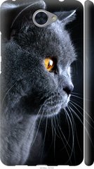 Чехол на Huawei Y7 2017 Красивый кот "3038c-1019-7105"
