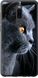 Чехол на Meizu Note 8 Красивый кот "3038u-1610-7105"