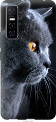 Чехол на Vivo Y73S Красивый кот "3038u-2159-7105"