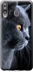 Чехол на Samsung Galaxy M30 Красивый кот "3038u-1682-7105"