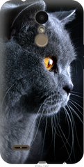 Чехол на LG K10 2018 Красивый кот "3038u-1382-7105"