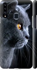 Чехол на Samsung Galaxy A20s A207F Красивый кот "3038c-1775-7105"
