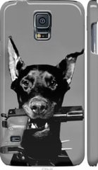 Чехол на Samsung Galaxy S5 Duos SM G900FD Доберман "2745c-62-7105"