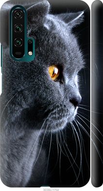 Чехол на Huawei Honor 20 Pro Красивый кот "3038c-1702-7105"