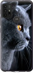 Чехол на Motorola Moto G30 Красивый кот "3038u-2320-7105"