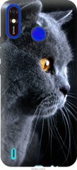 Чехол на Tecno Spark 4 Lite Красивый кот "3038u-2425-7105"