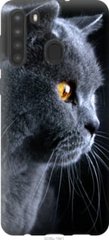 Чехол на Samsung Galaxy A21 Красивый кот "3038u-1841-7105"