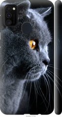 Чехол на Samsung Galaxy M21 M215F Красивый кот "3038c-2016-7105"