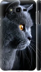 Чехол на Samsung Galaxy J7 Neo J701F Красивый кот "3038c-1402-7105"